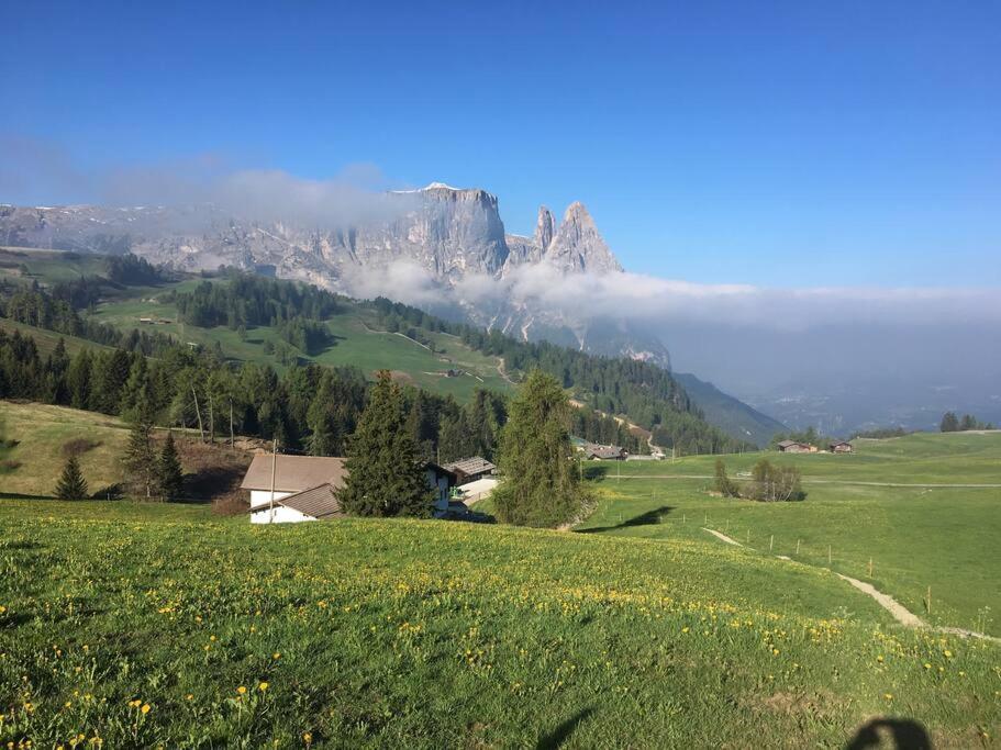 Schoene Ferienwohnung Siusi Dış mekan fotoğraf